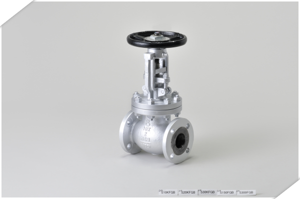 日立铸钢波纹管法兰截止阀  S10KFGB