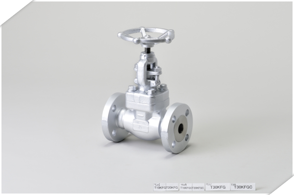 日立锻钢法兰截止阀 T20KFG1