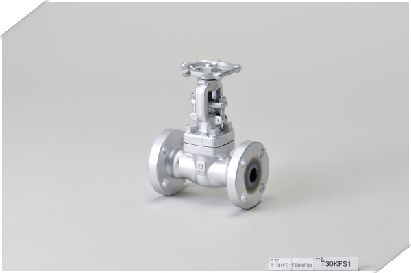 日立锻钢法兰闸阀 T30KFS1