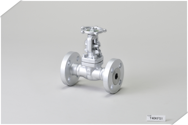 日立锻钢法兰闸阀 T40KFS1