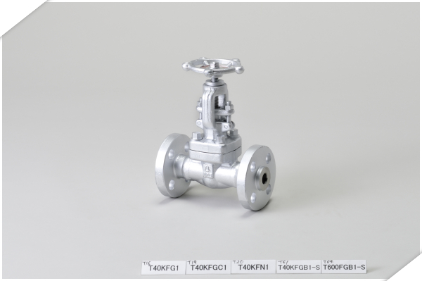 日立锻钢波纹管法兰截止阀 T40KFGB1-S